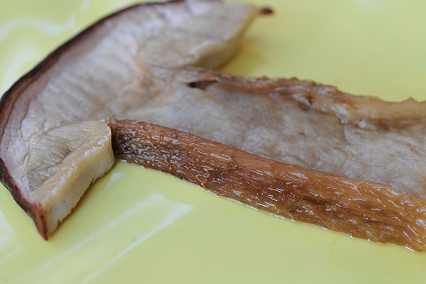 牛肝菌泡了一夜行嗎 牛肝菌泡了一夜行嗎