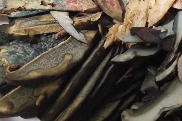 鮮牛肝菌炒意面的功效作用 鮮牛肝菌炒意面的功效作用