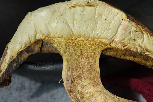 牛肝菌雜菌無花果雞湯的功效作用 牛肝菌雜菌無花果雞湯的功效作用