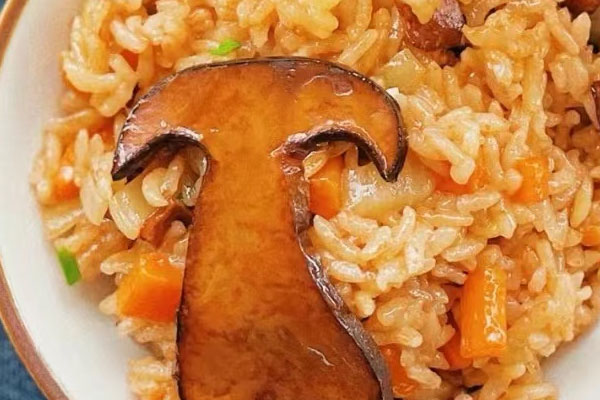 牛肝菌西葫蘆燜飯的營養(yǎng)價值 牛肝菌西葫蘆燜飯的營養(yǎng)價值