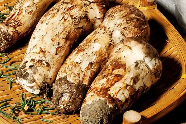 松茸蝦仁青團(tuán)的食用禁忌 松茸蝦仁青團(tuán)的食用禁忌