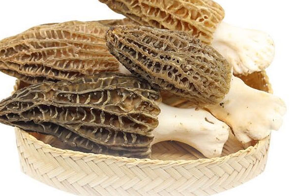 肉釀羊肚菌炒茭白的營(yíng)養(yǎng)價(jià)值 肉釀羊肚菌炒茭白的營(yíng)養(yǎng)價(jià)值