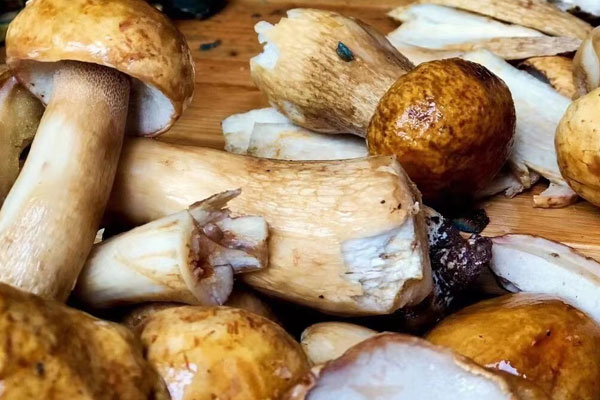 牛肝菌臘腸胡蘿卜燜飯?jiān)趺醋龊贸? src=