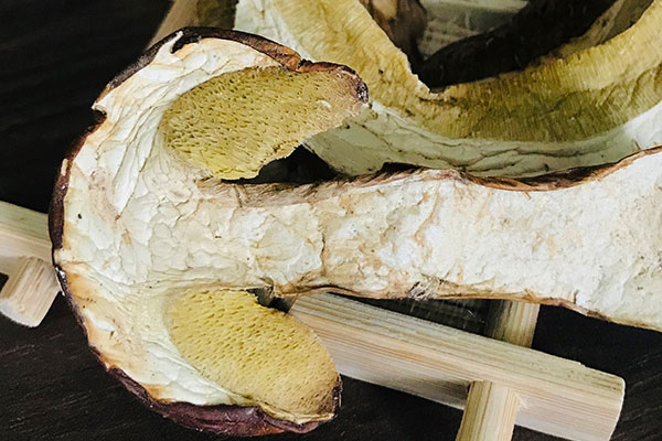 干牛肝菌怎么吃才無毒，牛肝菌怎么做不會中毒