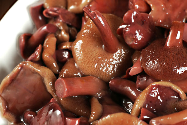 粗柄褶孔牛肝菌能吃嗎，短柄粘蓋牛肝菌有毒嗎