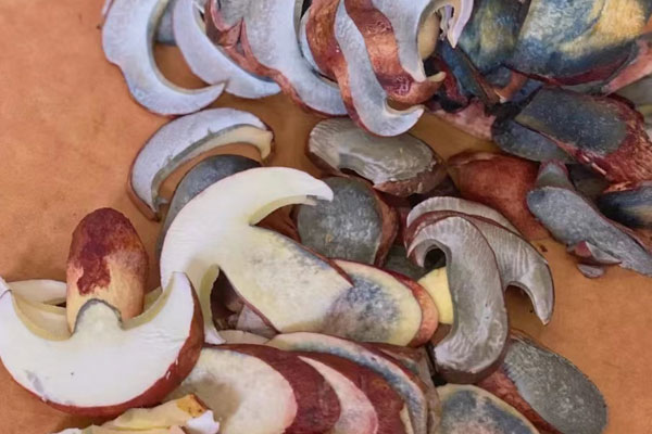 牛肝菌蒜香牛肉的功效作用 牛肝菌蒜香牛肉的功效作用