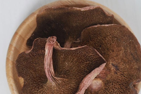 紅乳牛肝菌素炒樅樹菌的禁忌人群 紅乳牛肝菌素炒樅樹菌的禁忌人群