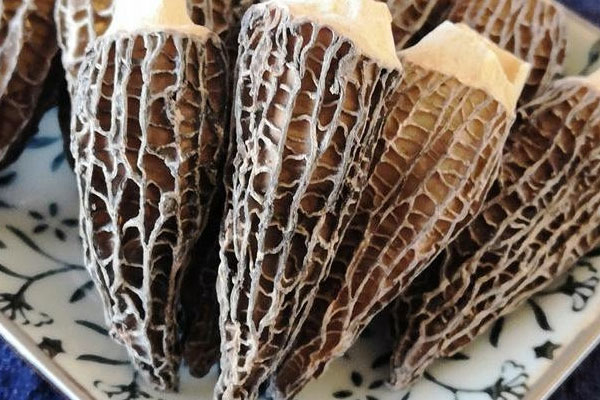 羊肚菌家常紅燒肉的營養(yǎng)價值 羊肚菌家常紅燒肉的營養(yǎng)價值