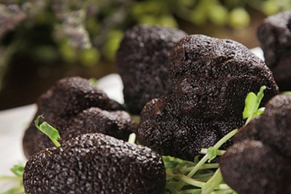 黑松露法棍的功效作用 黑松露法棍的功效作用