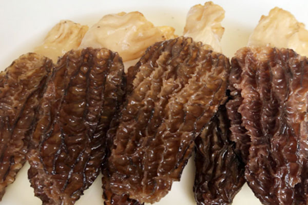 羊肚菌枸杞當(dāng)歸燉烏雞的食用禁忌 羊肚菌枸杞當(dāng)歸燉烏雞的食用禁忌