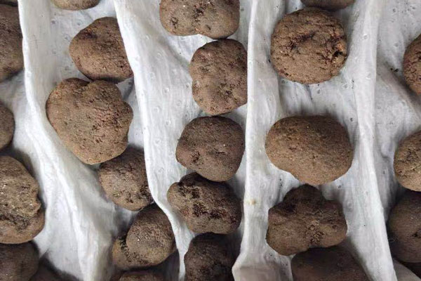 黑松露和牛禮物盒的食用禁忌 黑松露和牛禮物盒的食用禁忌