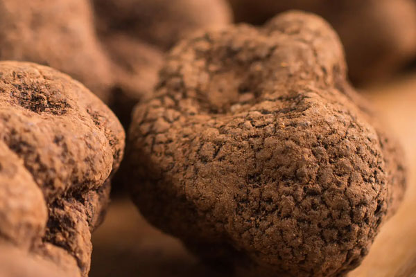 黑松露脆皮雞的功效作用