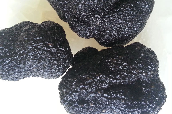 黑松露蘑菇溫泉蛋的食用禁忌