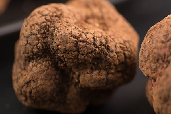 黑松露花膠燜雞的食用禁忌