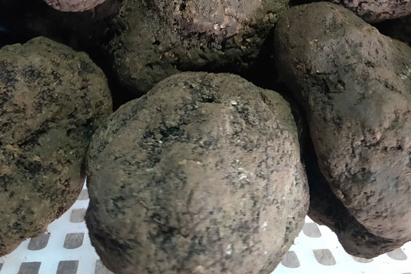 黑松露蘿卜燜鮮鮑的功效作用 黑松露蘿卜燜鮮鮑的功效作用