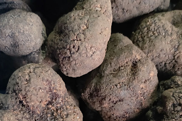 黑松露蘿卜燜鮮鮑的禁忌人群 黑松露蘿卜燜鮮鮑的禁忌人群