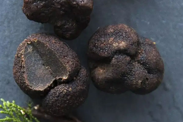 黑松露蛋白蟹鉗的營(yíng)養(yǎng)價(jià)值 黑松露蛋白蟹鉗的營(yíng)養(yǎng)價(jià)值