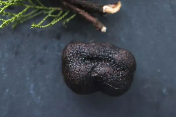 黑松露蛋白蟹鉗的禁忌人群 黑松露蛋白蟹鉗的禁忌人群