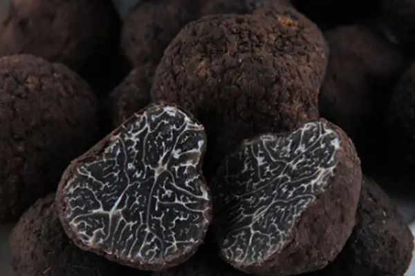 黑松露南瓜燉意粉的食用禁忌 黑松露南瓜燉意粉的食用禁忌