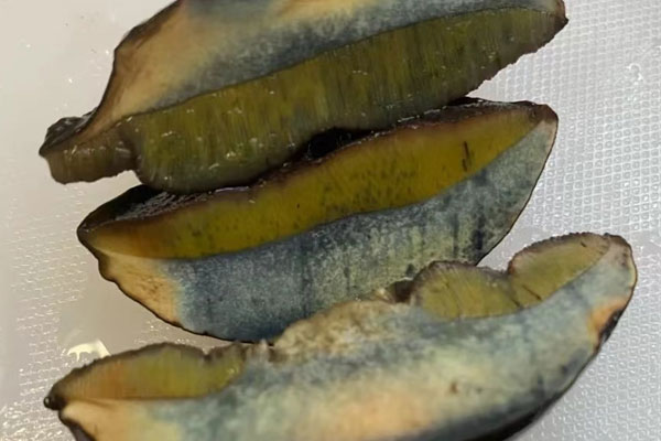 黑牛肝菌為什么發(fā)綠 黑牛肝菌為什么發(fā)綠