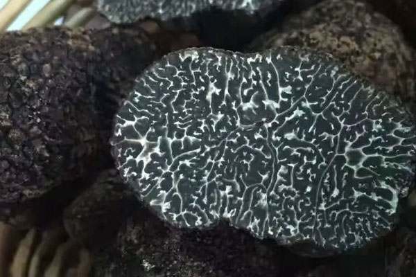 黑松露菠菜汁蟹鉗的營(yíng)養(yǎng)價(jià)值 黑松露菠菜汁蟹鉗的營(yíng)養(yǎng)價(jià)值