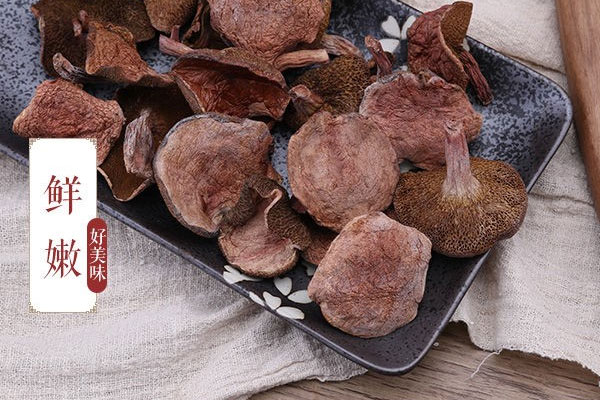 紅乳牛肝菌好吃嗎 紅乳牛肝菌好吃嗎