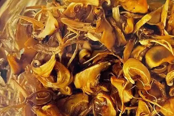 油泡牛肝菌怎么吃 油泡牛肝菌怎么吃