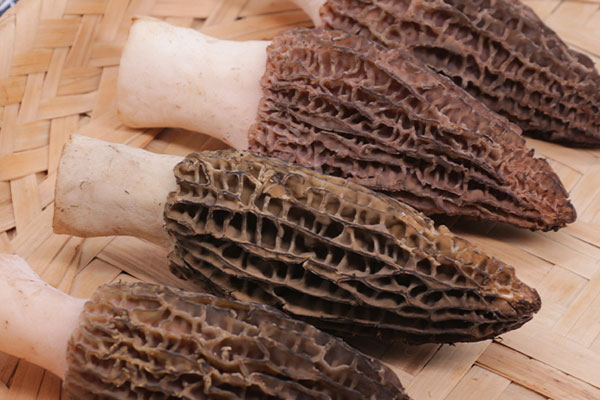 怎么洗去羊肚菌表面白色菌絲，羊肚菌可以用小蘇打洗嗎