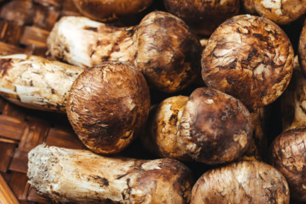 松茸芝士卷的食用禁忌 松茸芝士卷的食用禁忌