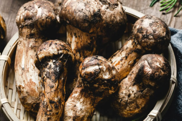 電飯鍋松茸香腸飯的食用禁忌