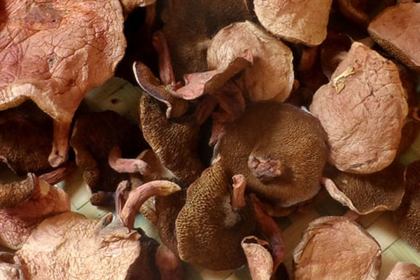 紅乳牛肝菌青椒燜土豆的食用禁忌 紅乳牛肝菌青椒燜土豆的食用禁忌