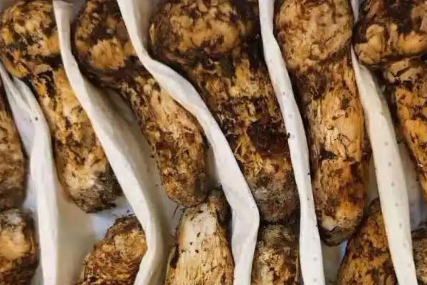 松茸奶油培根意面的食用禁忌