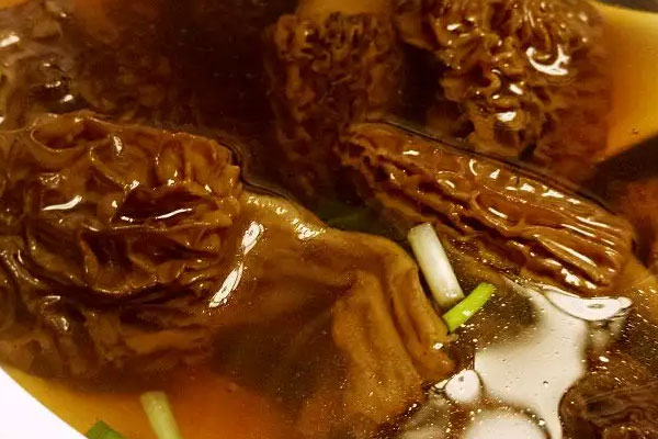 癌癥患者可以吃羊肚菌嗎，卵巢囊腫可以吃羊肚菌嗎