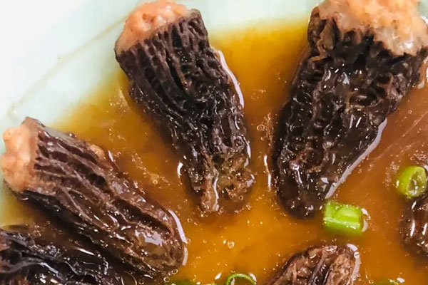 羊肚菌對(duì)癌癥有作用嗎，羊肚菌能治乳腺增生嗎