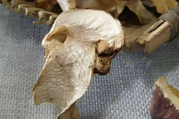 松茸烏雞豬手湯的功效作用 松茸烏雞豬手湯的功效作用