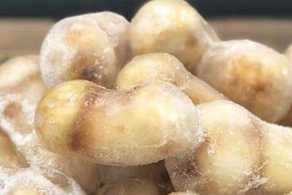 松茸生蠔枸杞雞湯的功效作用 松茸生蠔枸杞雞湯的功效作用