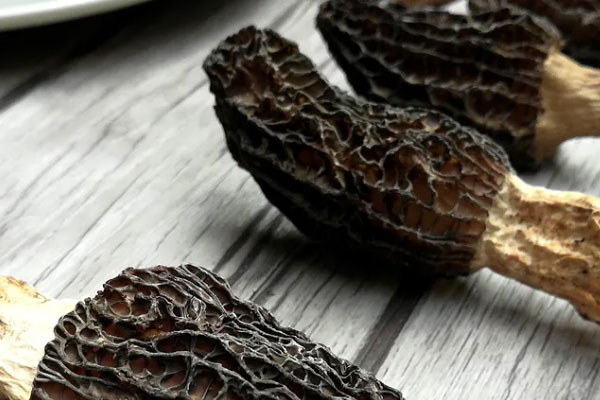 羊肚菌娃娃菜炒木耳的食用禁忌 羊肚菌娃娃菜炒木耳的食用禁忌