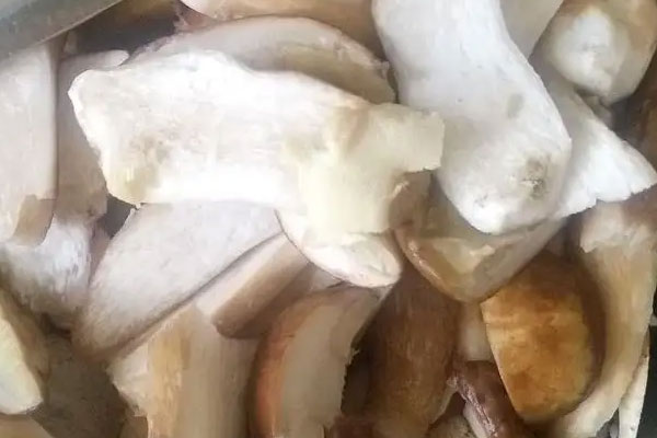 牛肝菌可以和當(dāng)歸一起燉湯嗎 牛肝菌可以和當(dāng)歸一起燉湯嗎