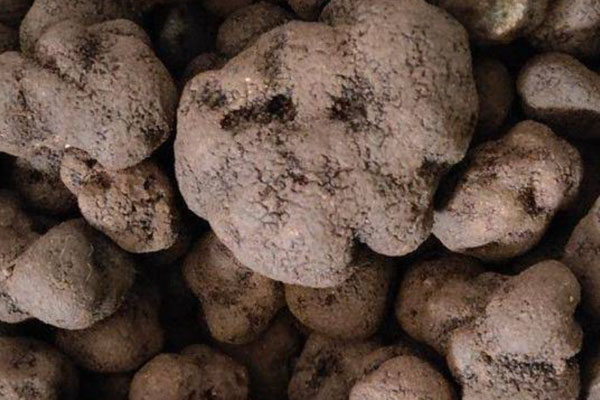 意式黑松露口蘑飯的營養(yǎng)價值 意式黑松露口蘑飯的營養(yǎng)價值