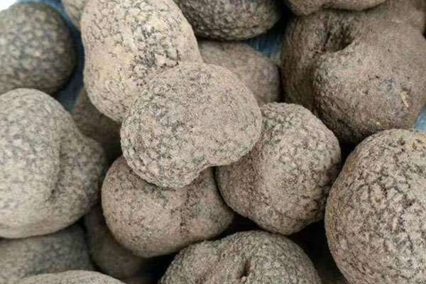 黑松露法式酥皮湯的功效作用 黑松露法式酥皮湯的功效作用