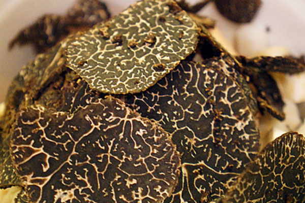 黑松露法式酥皮湯的食用禁忌 黑松露法式酥皮湯的食用禁忌