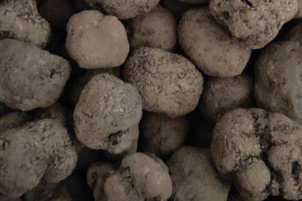 黑松露紫菜湯餃的功效作用 黑松露紫菜湯餃的功效作用