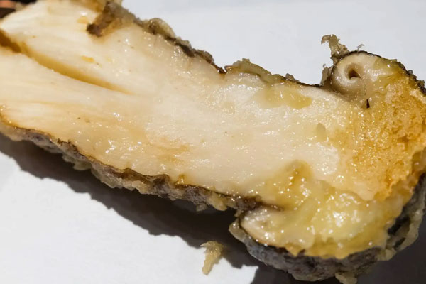 過敏性濕疹能不能吃松茸，松茸怎么去苦味