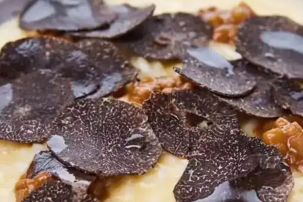 孩子可以吃松露嗎 孩子可以吃松露嗎