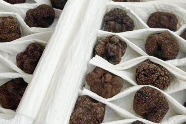 黑松露表面有白霉還可以吃嗎 黑松露表面有白霉還可以吃嗎