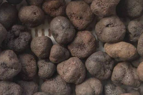 什么顏色的黑松露最好 什么顏色的黑松露最好