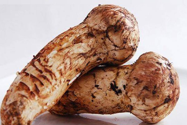 松茸蟲草花蒸鱸魚的食用禁忌 松茸蟲草花蒸鱸魚的食用禁忌