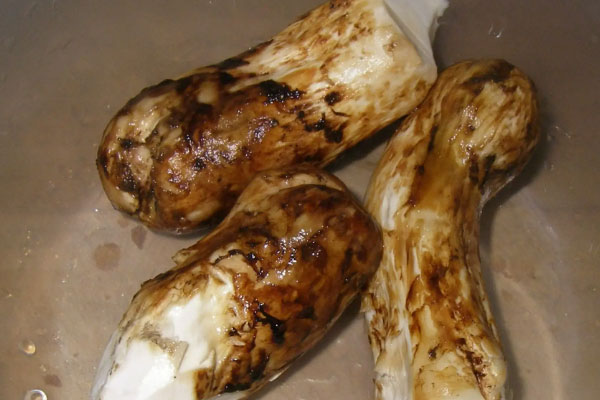 雙眼皮手術(shù)后可以吃松茸嗎 雙眼皮手術(shù)后可以吃松茸嗎