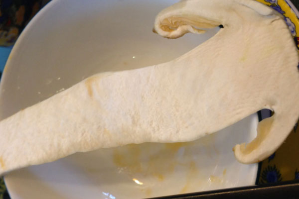 胃部剛做完手術可以吃松茸嗎，結(jié)腸直腸癌病人能吃松茸嗎