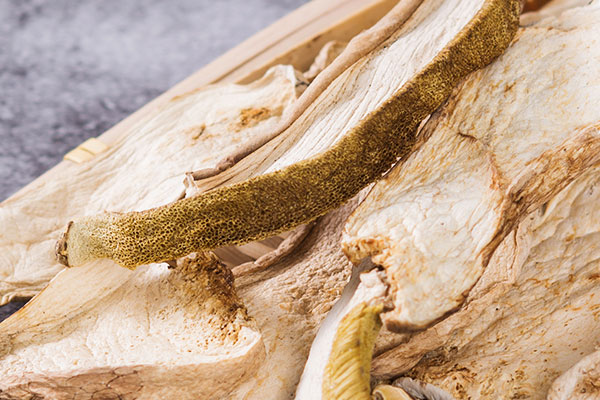 牛肝菌雞肉湯的禁忌人群 牛肝菌雞肉湯的禁忌人群